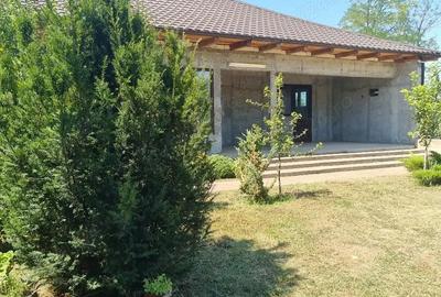 Casă cu Teren 1233 Mp în Odaia Manolache - 10