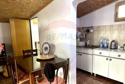 Teren 1944 mp + Casa - 65 mp, Darasti-Vlasca Giurgiu/ 20 ... - 6