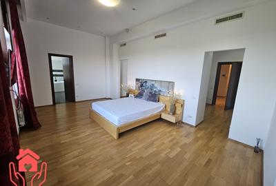 BANEASA SHOPPING CITY (ZOO)-PENTHOUSE amplu, 600 mp utili, vedere deschisa! - 17