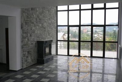 Valenii de Munte-Vila 13 camere, 6500mp teren, ideal business - 10