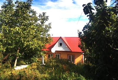 Casă individuală cu 2 camere cu Teren 1154 Mp în Slobozia (Ciurea) - 3