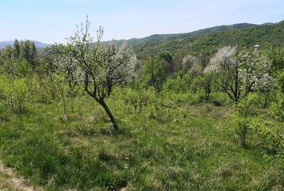 Teren Intravilan Orsova 4700 mp
