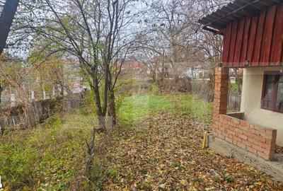 Teren de 700 mp, în Aninoasa - 3