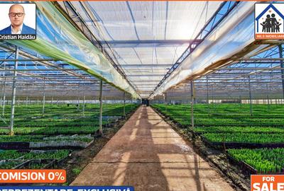 Sere: 10.640mp | Hala: 830mp | Teren 42.000mp | Lehliu-Gara - 7