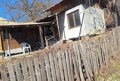 Casă cu Teren 810 Mp în Provița de Jos - 1