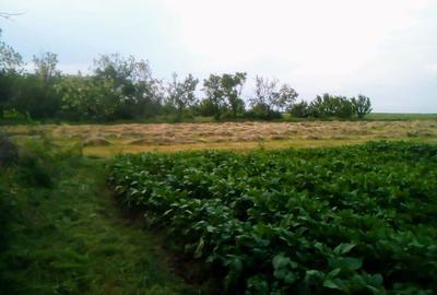 Casa de vanzare cu teren mare in satul Bolovani, 45km Bucure?ti - 2