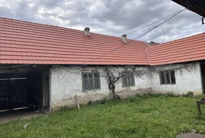 Casa Zorlen?ul Mare Casa Zorlen?ul Mare - 4