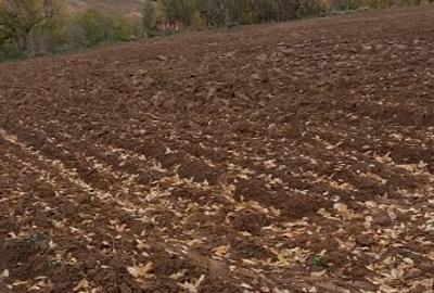 De vânzare teren intravilan - 2