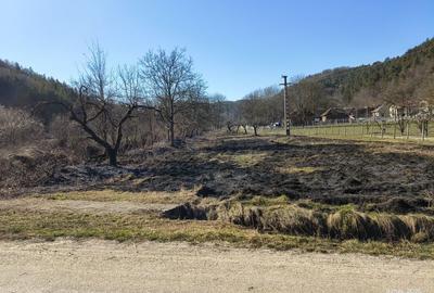 Teren de 3400 mp, în Exterior Vest - 1