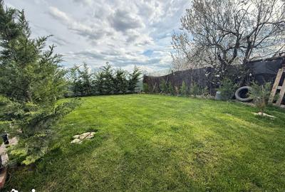 Casă cu 3 camere cu Teren 400 Mp în Vânători - 11