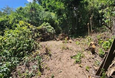 CASA CU TEREN IN Cartierul Schei CASA CU TEREN IN Cartierul Schei - 8