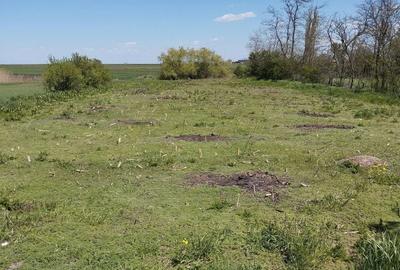 Casă cu 4 camere în Bărzila - 8