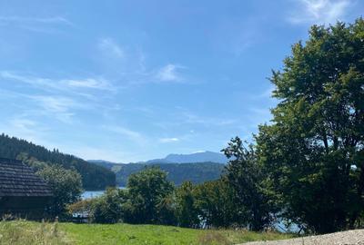 Teren de 11541 mp, în Buhalnița