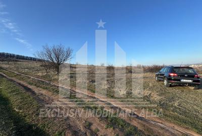 Teren Construcții intravilan de 1000 mp, în Cetate - 1