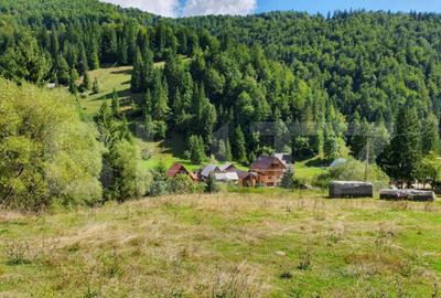 Teren de 3015 mp, în Arieșeni - 4