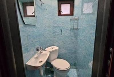 Apartament spațios 3 camere, etaj 1 vilă, pet friendly, Ferdinand - 7