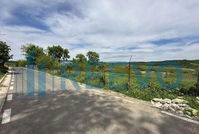 Teren de vanzare, Sat Valea Mare, Com. Ro?iori, Bacau - 13