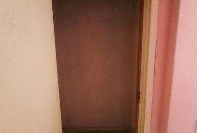 Apartament cu 2 camere decomandat în Rovinari - 6