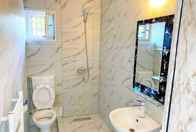 Casă cu 6 camere în Buziașului - 12