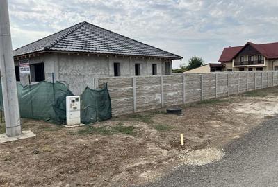 Casă cu 3 camere cu Teren 950 Mp în Peciu Nou - 6