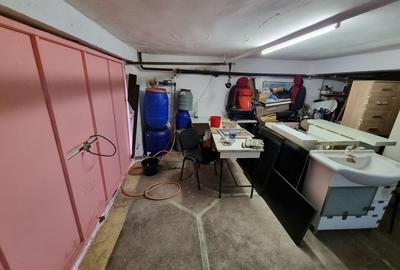 Ovidiu-vila D+P+1+M libera aproape de lac - 11