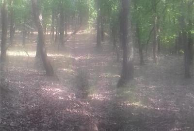 Teren în Central - 3