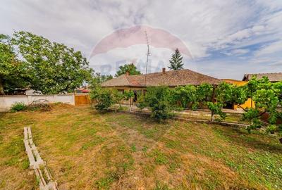 Casa cu 4 camere si teren 540 m in Pecica - Zona excelenta - 6