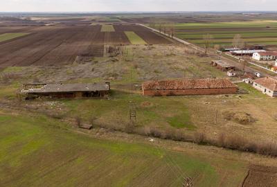 Spațiu industrial, de 3,000 mp, în Mișca - 13