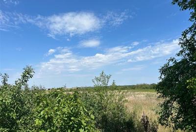 RECO Teren intravilan 3,9 ha -Les - 5