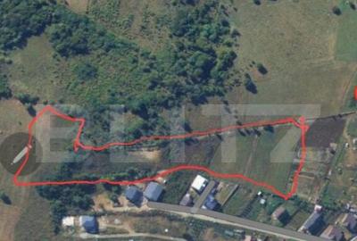 Teren 11600 mp (1 Hectar si 16 ari), zona Tarpiului, posibil - 1