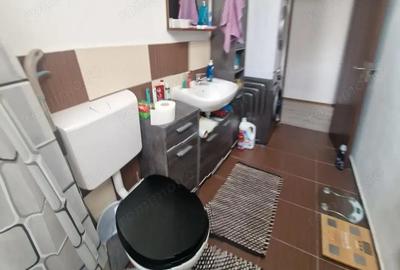 CI563 Barnutiu-Lugojului,3 camere,centrala - 13