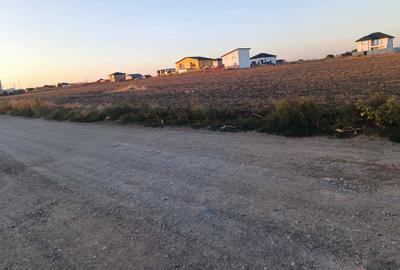 Teren de 320 mp, în Berceni - 2