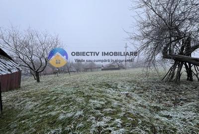 Casa si teren 3054 mp - Negresti - 12