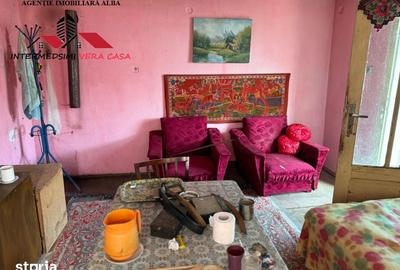 Casă cu 4 camere cu Teren 7701 Mp în Vințu de Jos - 19