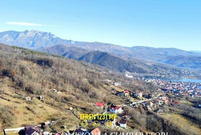 Teren de 1231 mp, în Călimănești - 8