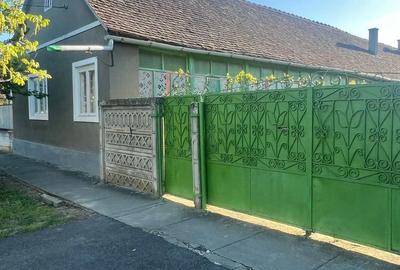 Casă cu 4 camere cu Teren 1430 Mp în Liebling - 6