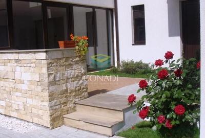 Zona Iancu Nicolae, vila cu 5 camere de inchiriat, 275 mp utili - 5