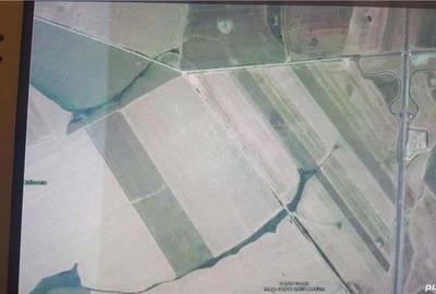 Teren de 95000 mp, în Orțișoara - 2