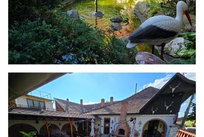 De închiriat restaurant complet echipat, pe termen lung - 5