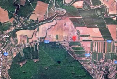 Teren Construcții intravilan de 5000 mp, în Ciolpani - 7