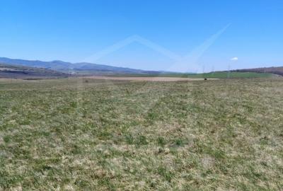 Teren agricol de 10000 mp, în Ciurila - 1