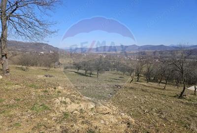 Teren de 4627 mp, în Giulești - 1