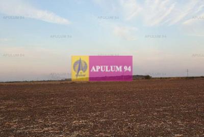 Teren construcție casă - 1 Decembrie - Zona Metropolitană București Teren construcție casă - 1 Decembrie - Zona Metropolitană București - 37