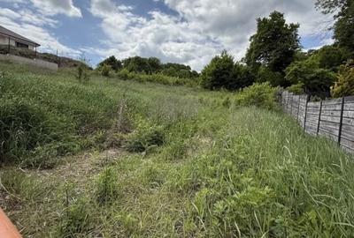 Teren autorizat in pentru casa individuala Popesti Vale 848mp sub padure - 1