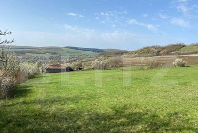 Casa cu 10000mp de teren in Buza, la 50 km de Cluj-Napoca - 1