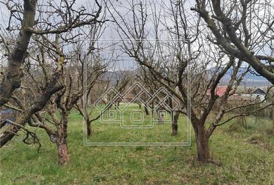 Casă individuală cu 3 camere cu Canalizare în Săcel - 6