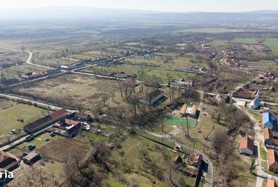 Casă cu 8 camere cu Teren 7235 Mp în Traian Vuia - 3