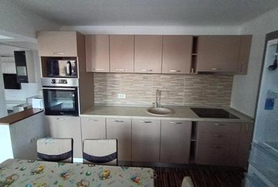 Casa individuala la pret de ap 2k, noua, mobilata, 500mp teren, la 25km de Tm - 14