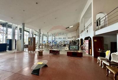 Hala/Showroom 1400mp Calea Moldovei - 8