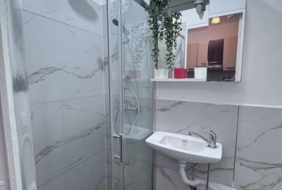 Garsonieră decomandată în Ultracentral - 5